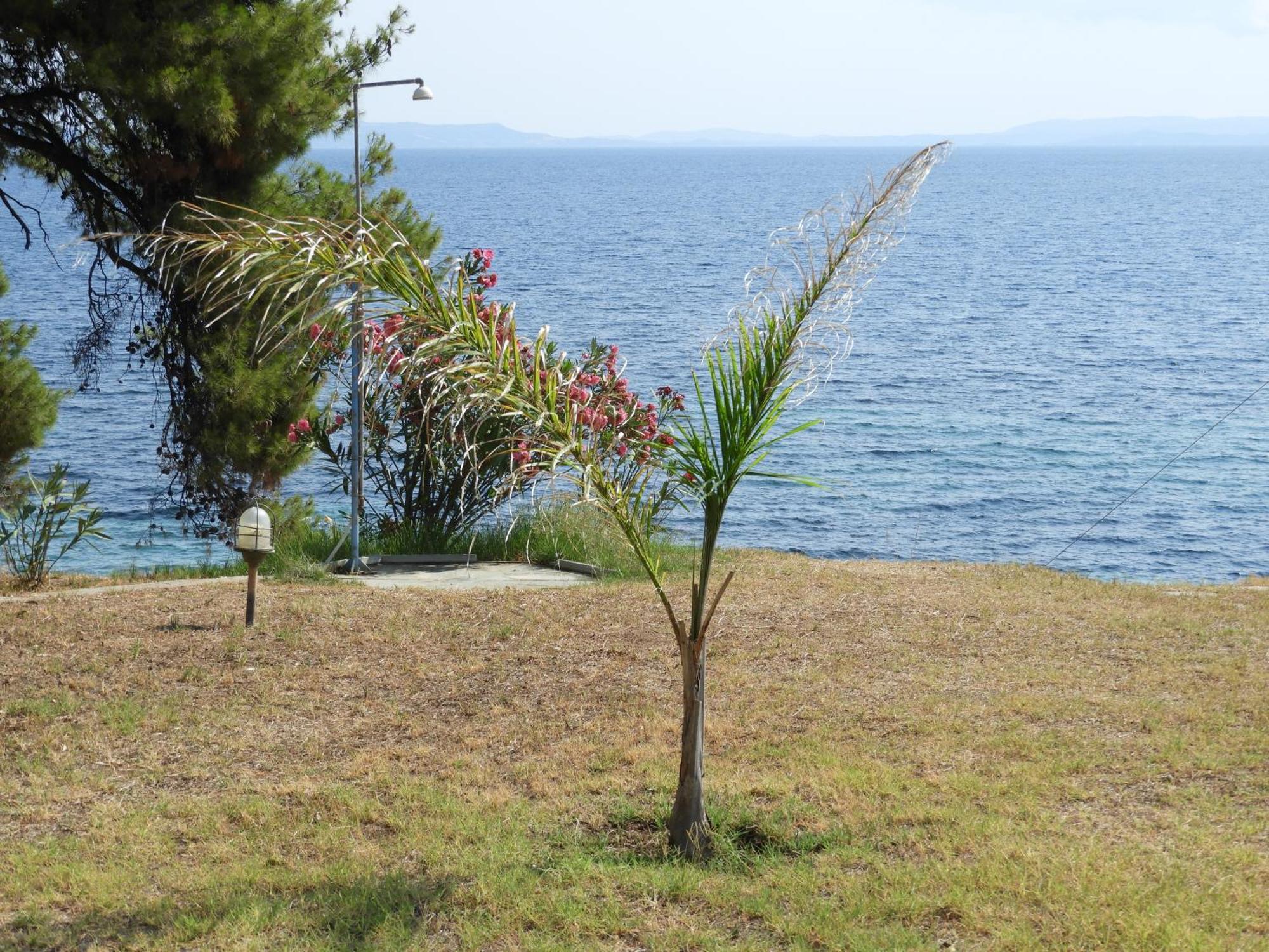 Sangue Blu Beachfront Villa Apartment アギオス・ニコラオス エクステリア 写真